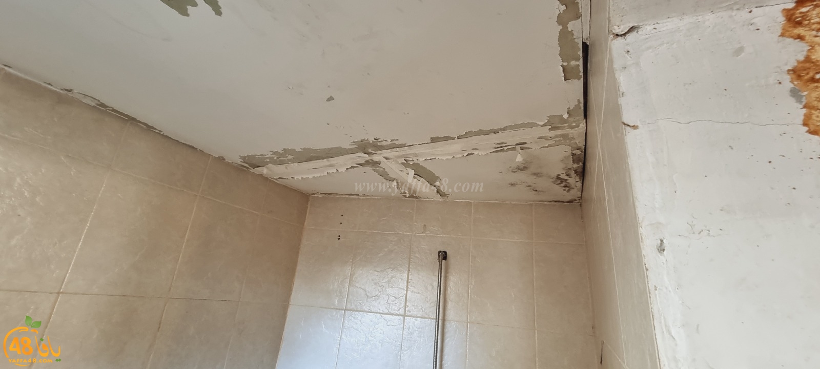 WhatsApp Image 2021-04-21 at 5.17.20 PM (1).jpg